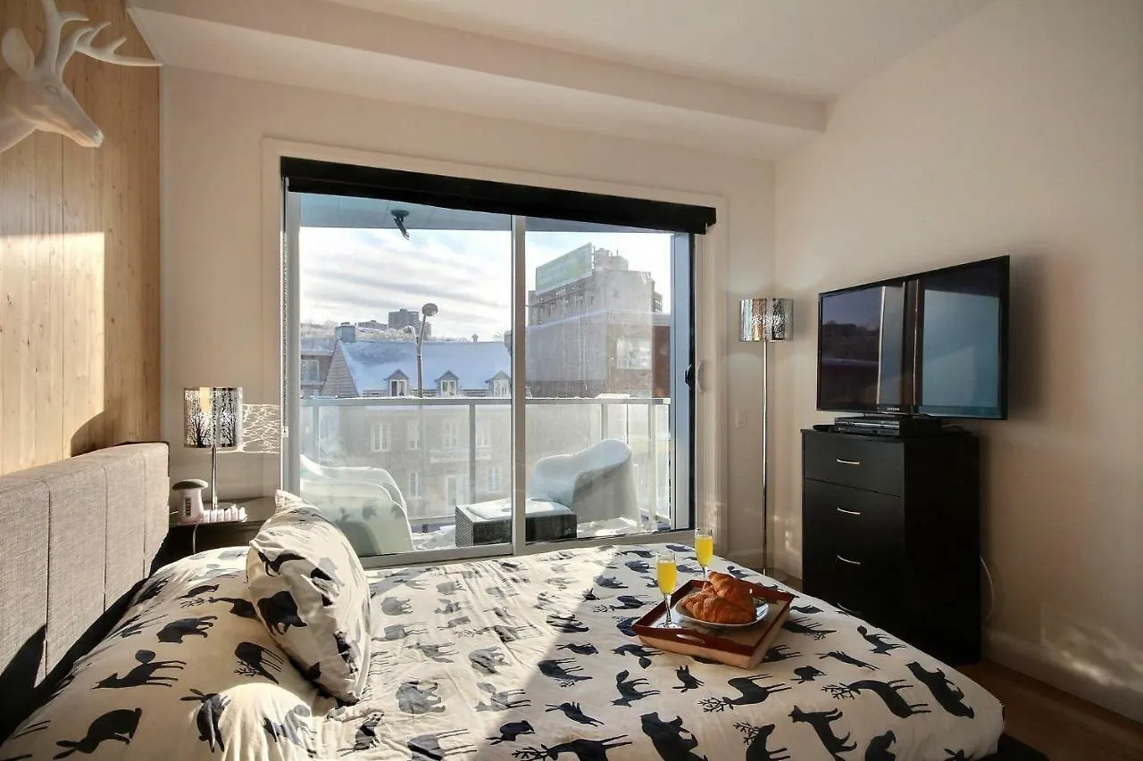 Le Kameleon 318 : Interieur Parking, Rooftop Terrace, Gym Quebec City Apartment